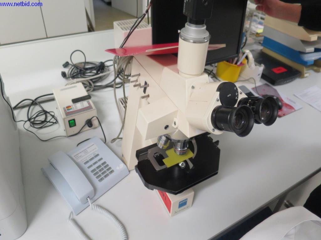 Zeiss Axioskop Stereomikroskop